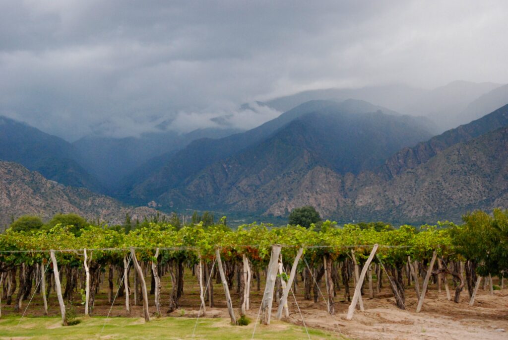 Viñedos de Mendoza, paisajes de Argentina