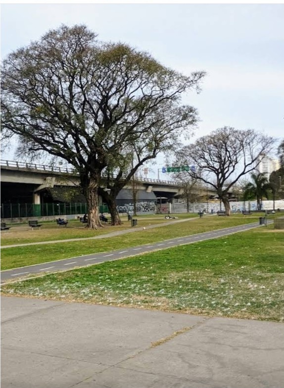 Iriarte y Herrera, en el fondo se ve la subida al Puente Pueyrredón